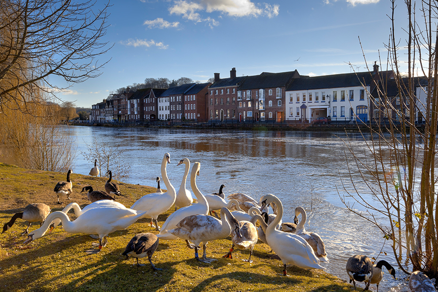 ship-inn-whats-on-bewdley